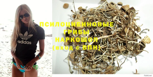 амф Алексеевка